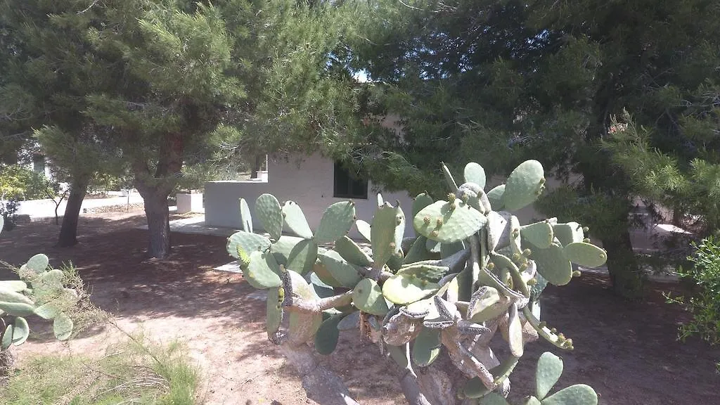 Appartamenti In Villa Senia 파뷔냐나도 펜션