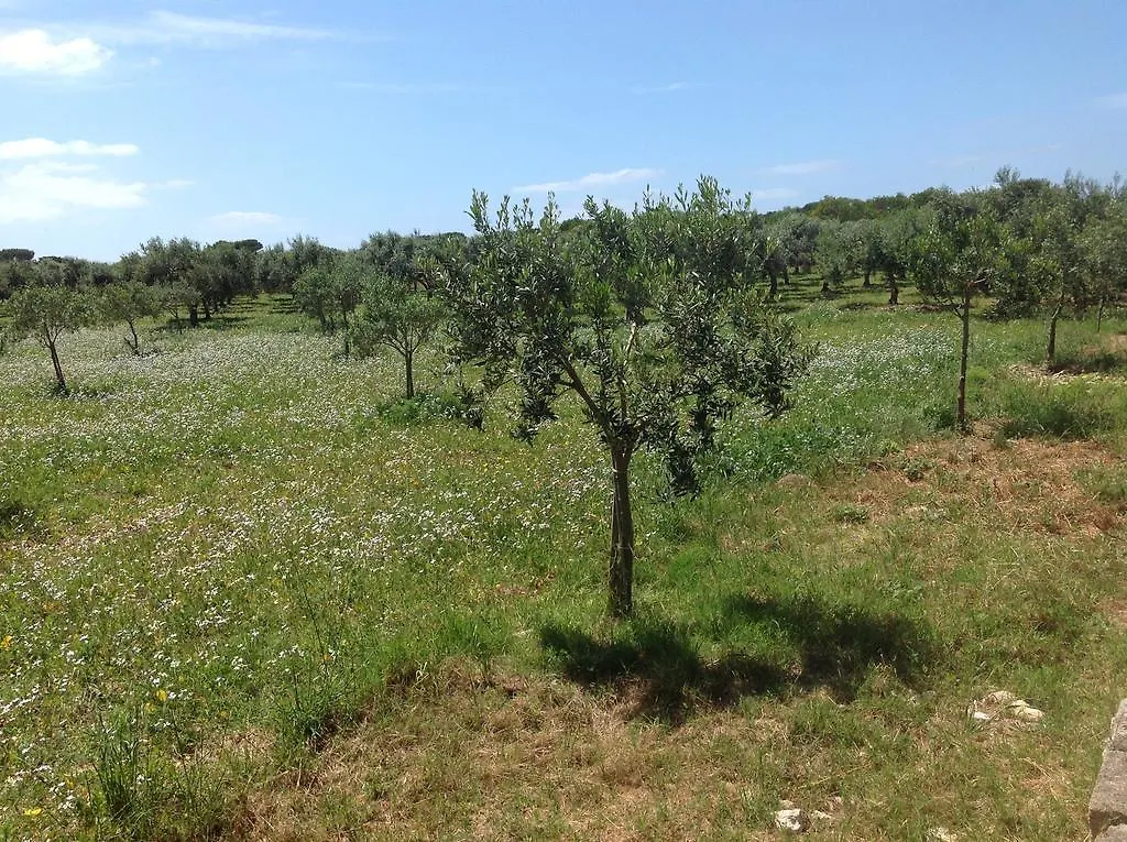 Appartamenti In Villa Senia Favignana Holiday home